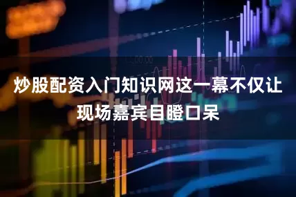 炒股配资入门知识网这一幕不仅让现场嘉宾目瞪口呆