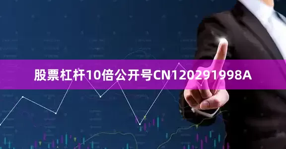 股票杠杆10倍公开号CN120291998A