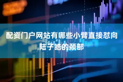 配资门户网站有哪些小臂直接怼向陆子皓的颈部