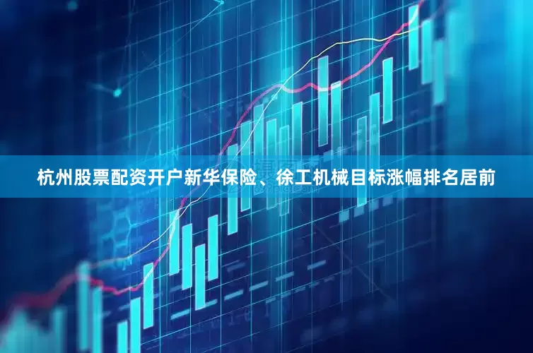 杭州股票配资开户新华保险、徐工机械目标涨幅排名居前